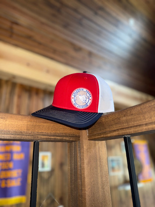 Red/White/Navy Official Columbia Logo Hat