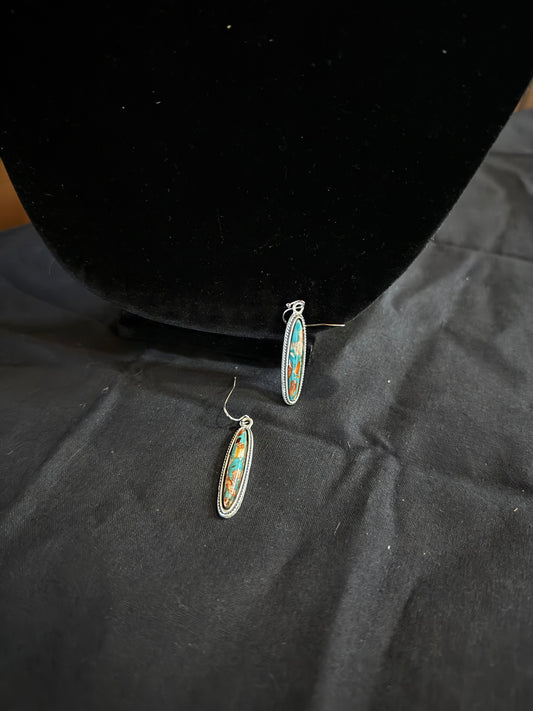 Long Oval Earrings