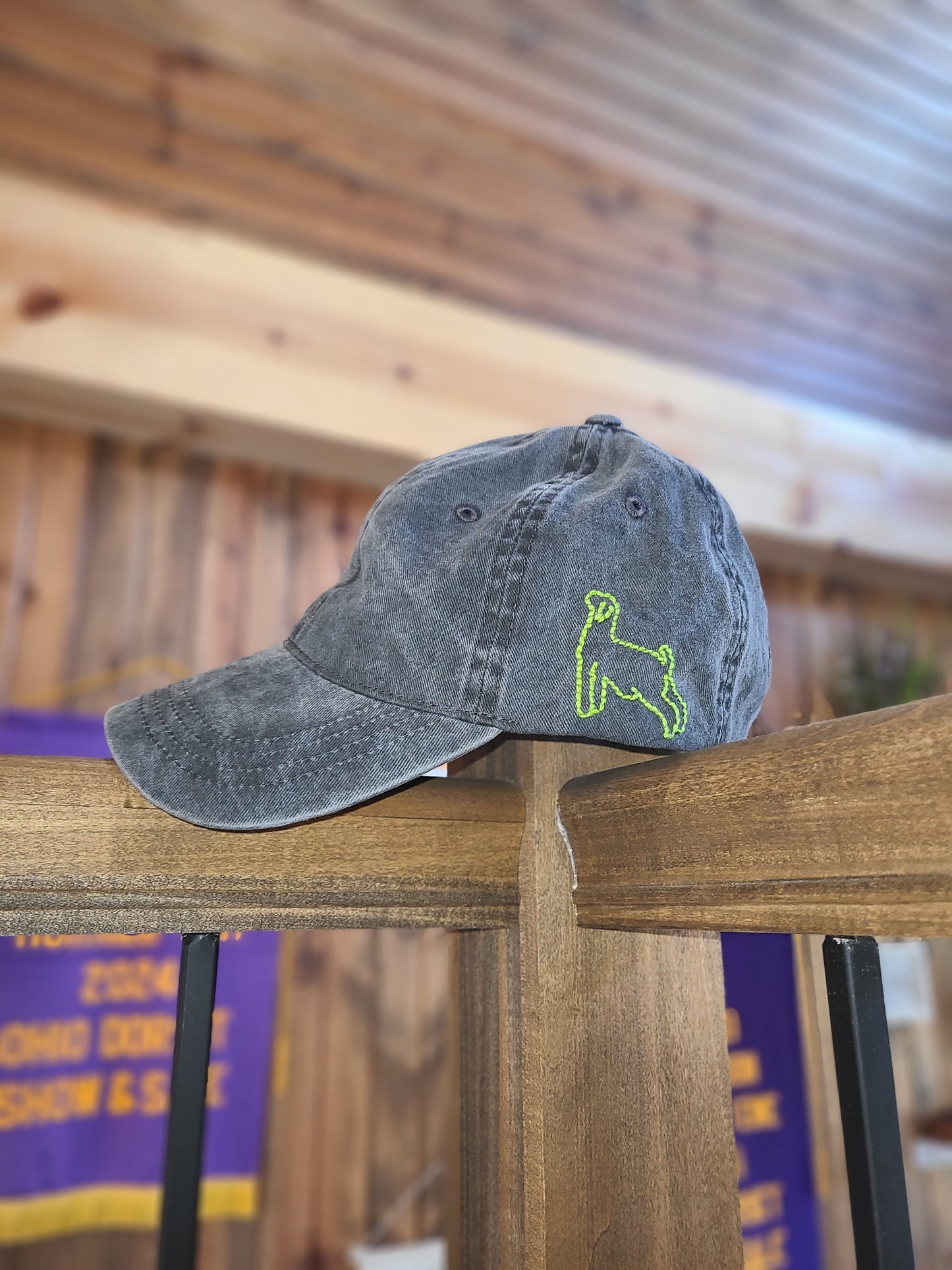 Animal Stitched Pony-Tail Hat