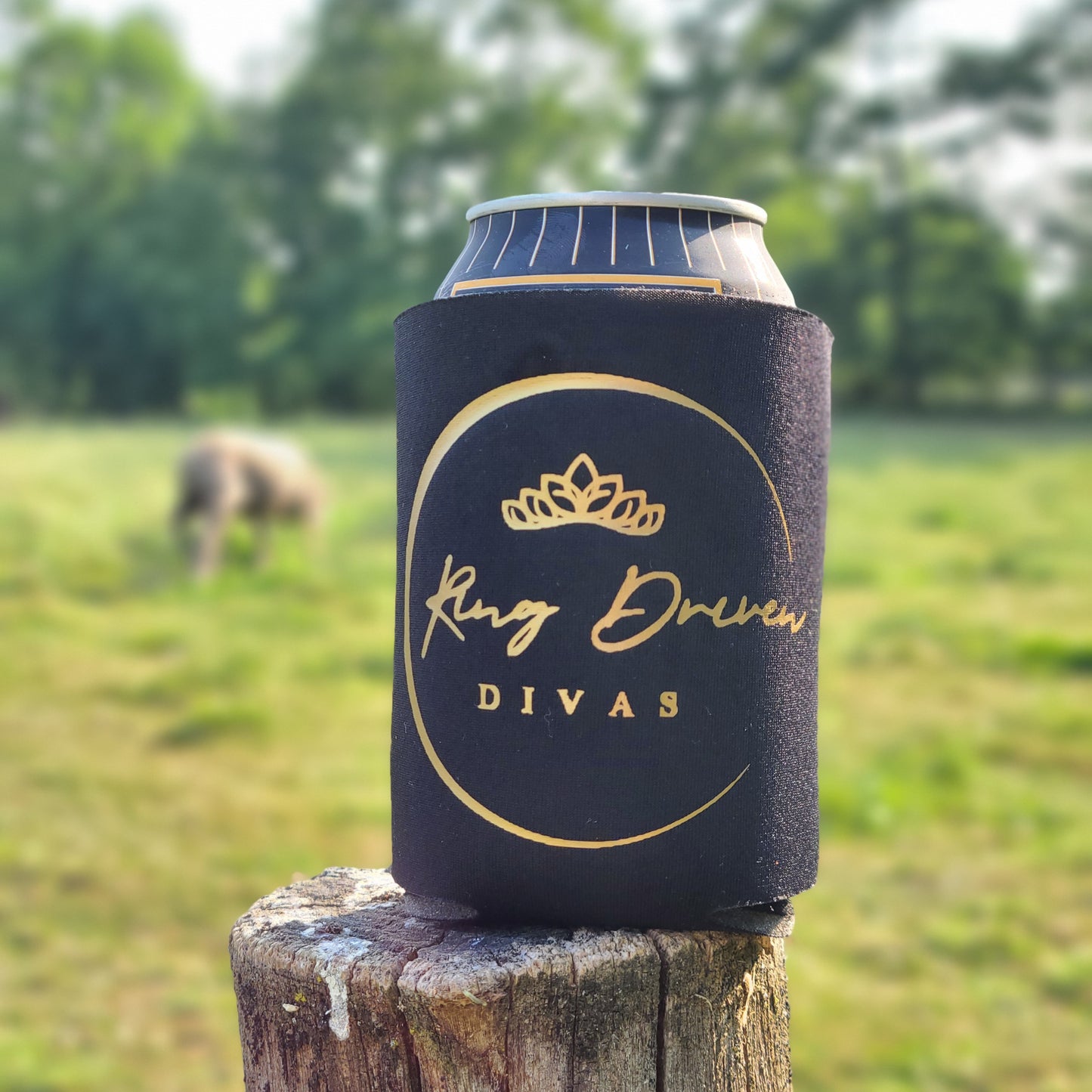 Ring Divas' Koozies