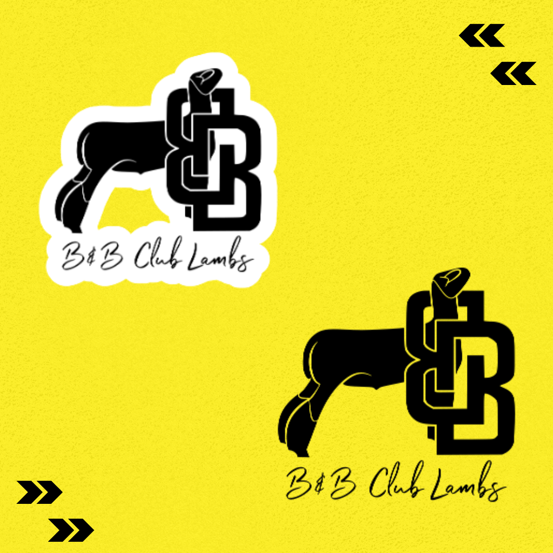 BB Black Full Logo Sticker/Decal