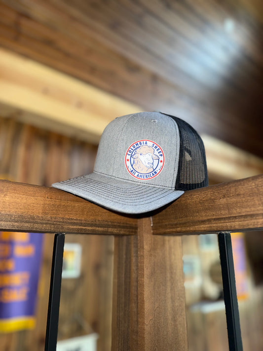 Charcoal/Black Official Columbia Logo Hat