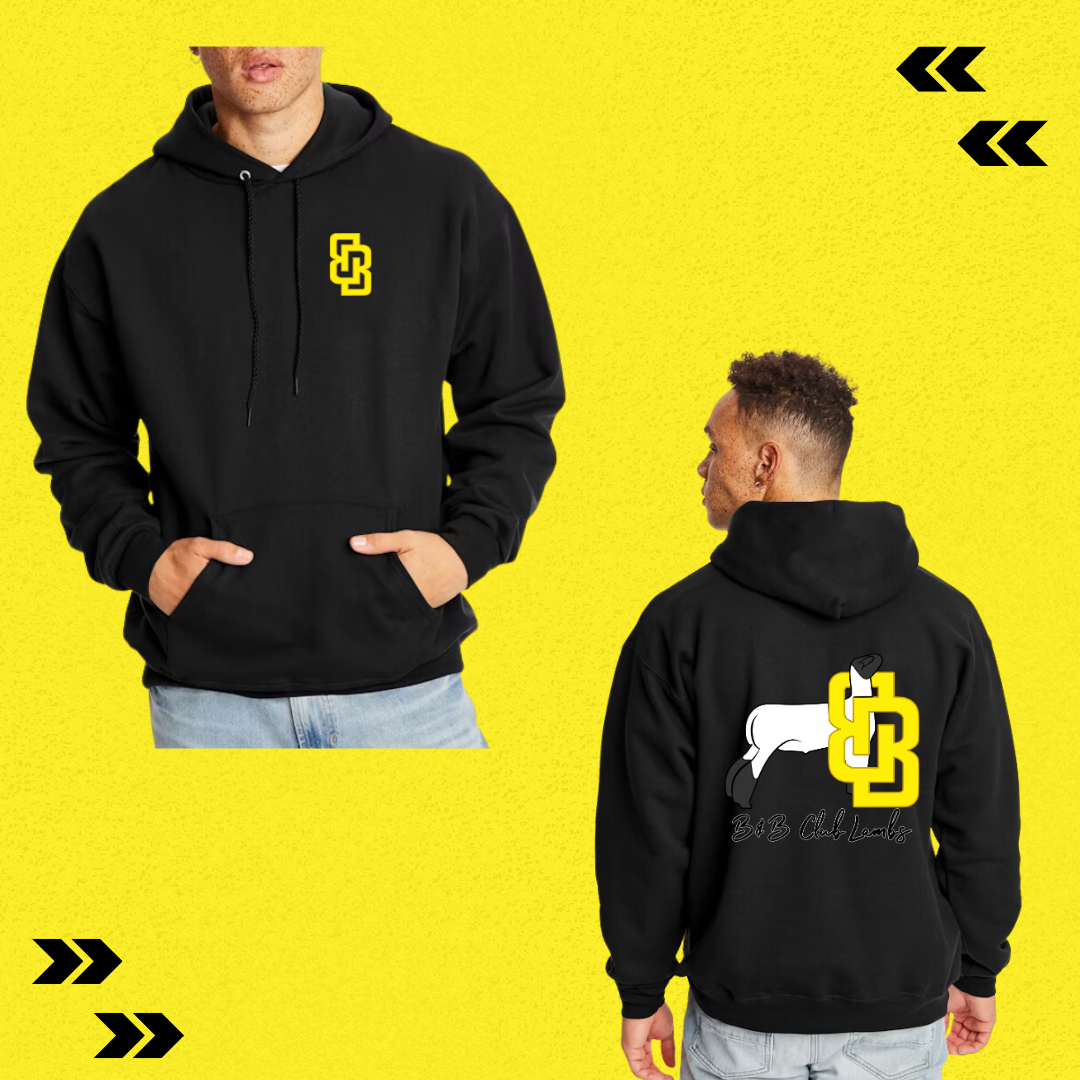 BB Colorblock Hoodie